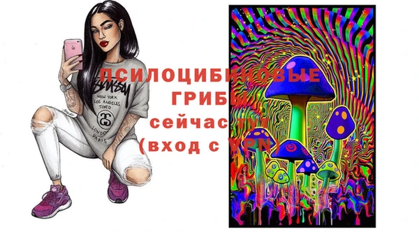 круглые Алзамай