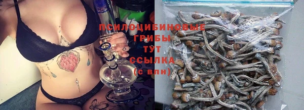 круглые Алзамай